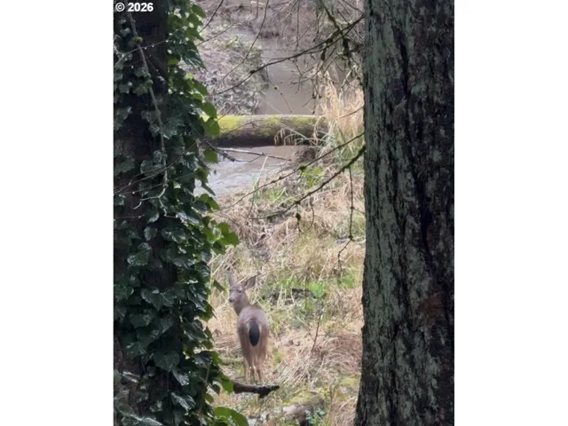 Creek-Year Round