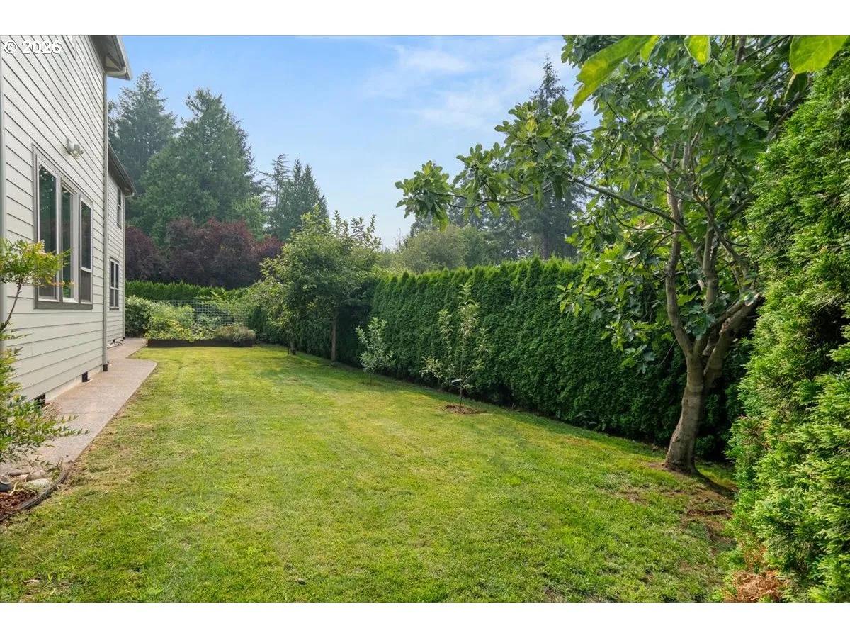 Yard-Landscaped
