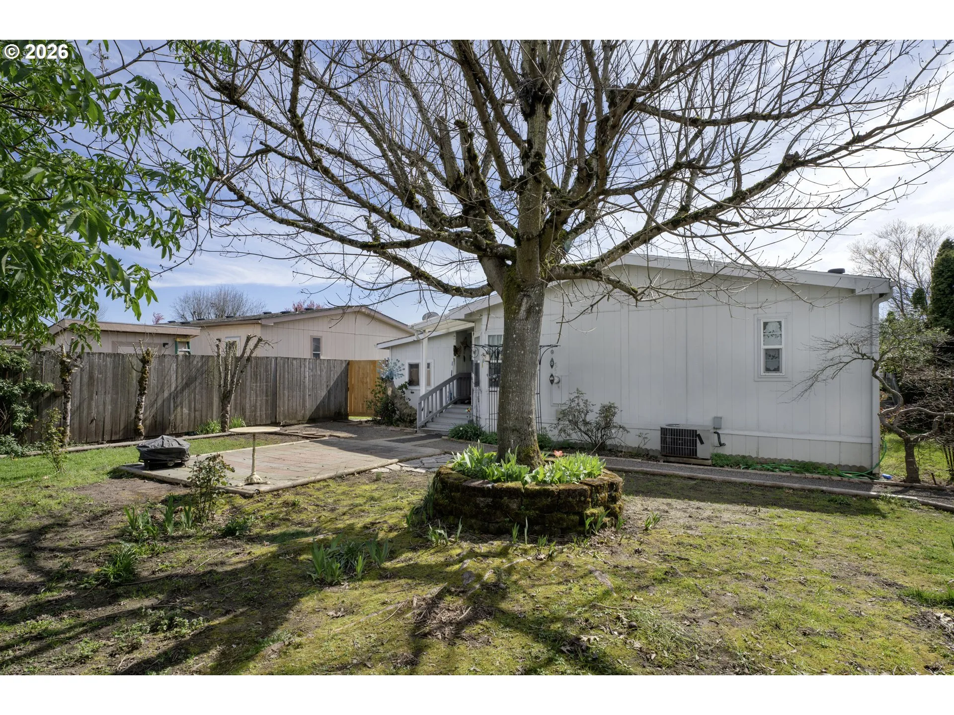 Backyard-View From