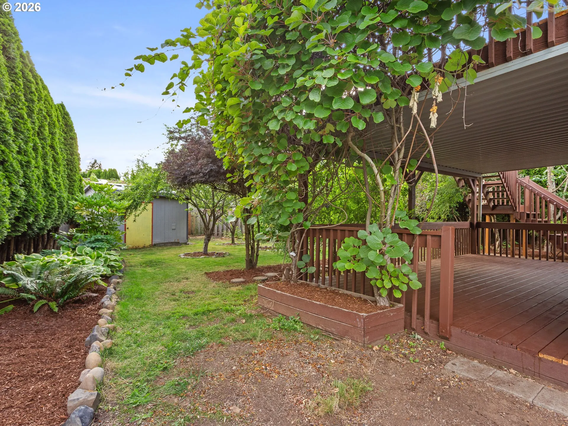 Yard-Back