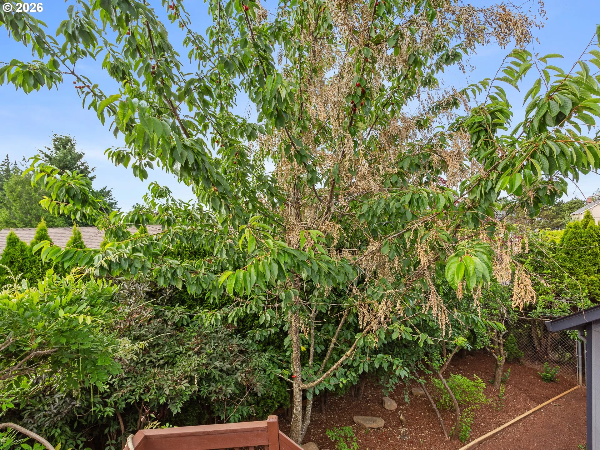 Yard-Back