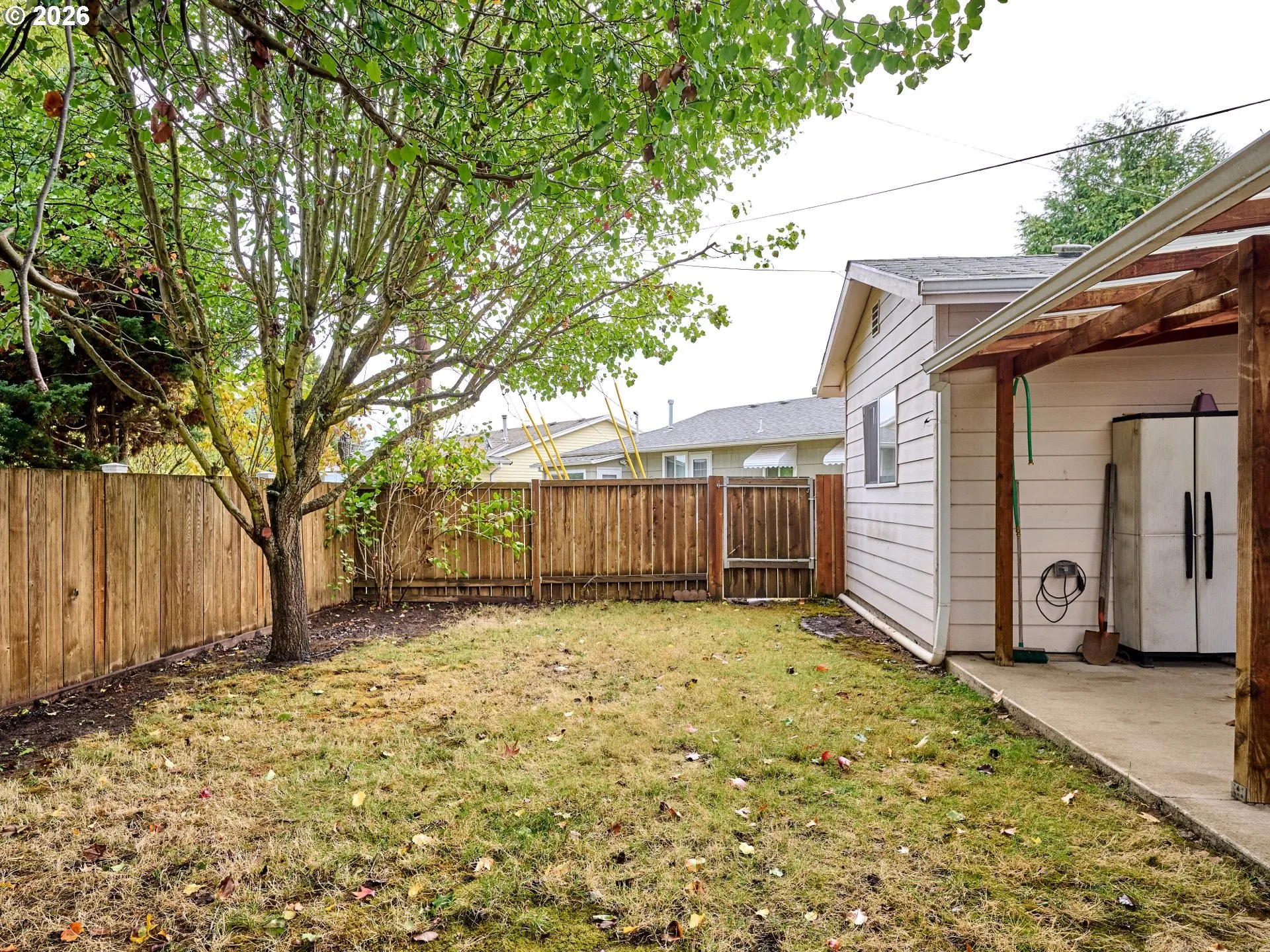Backyard