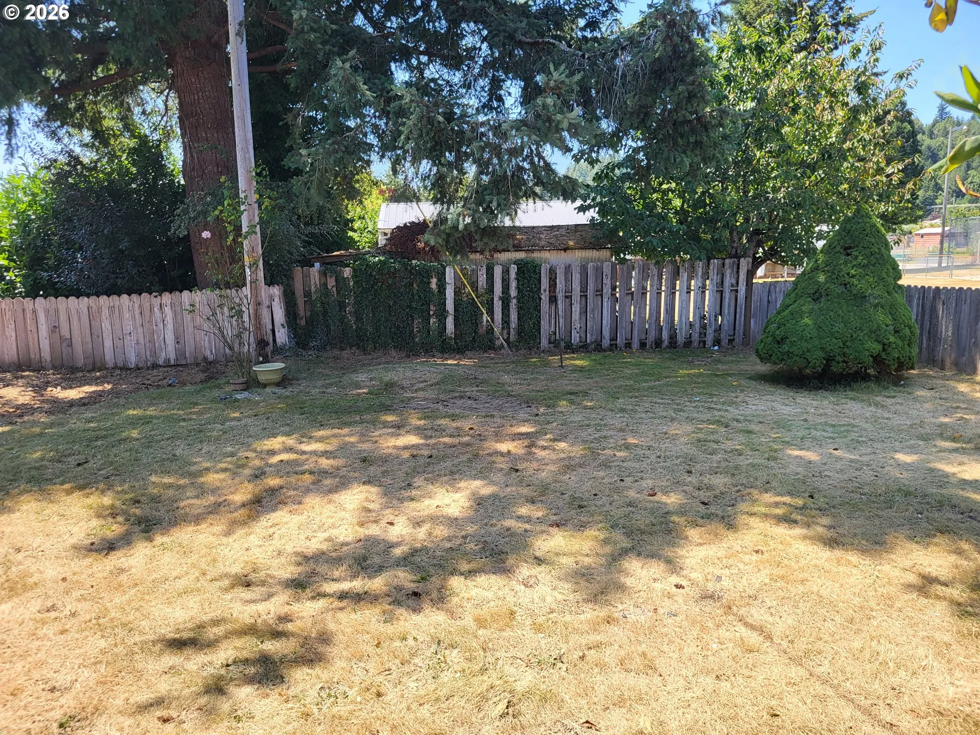 Backyard-Fenced