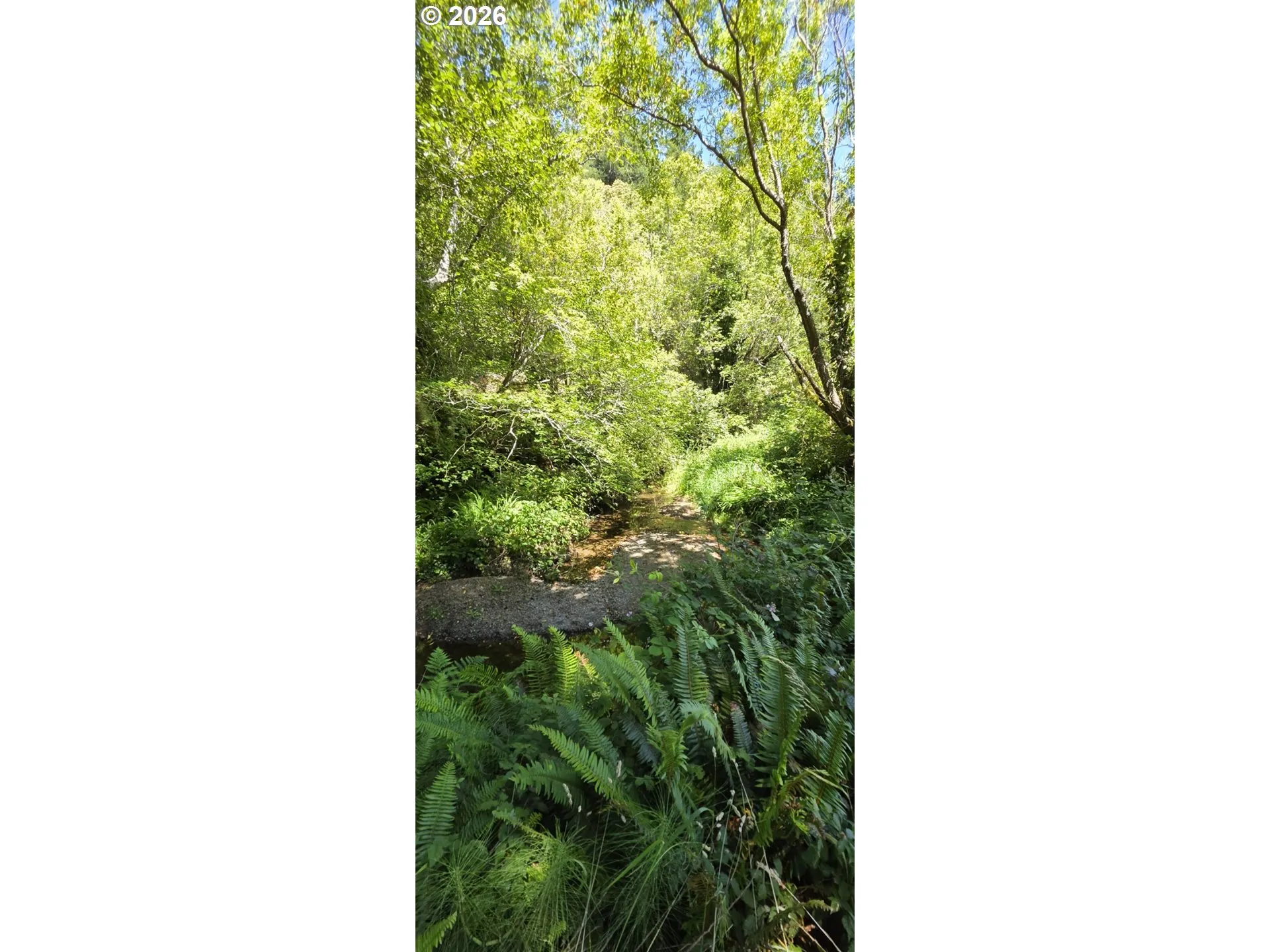 Creek-Front