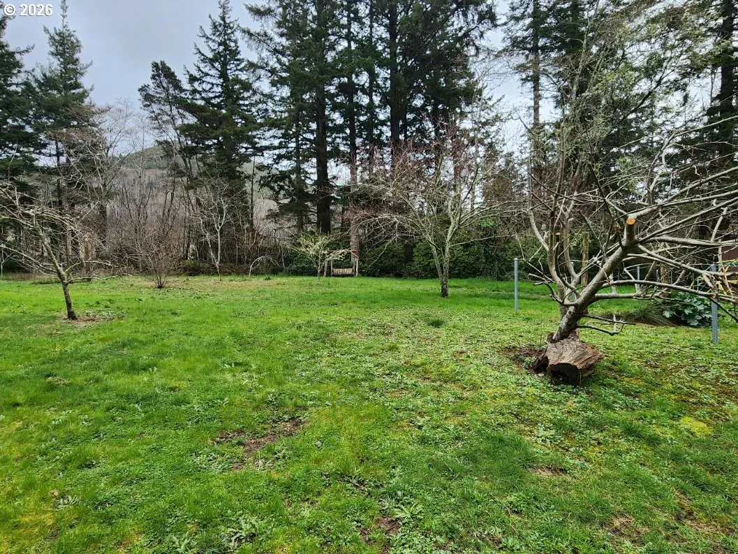 Front Yard