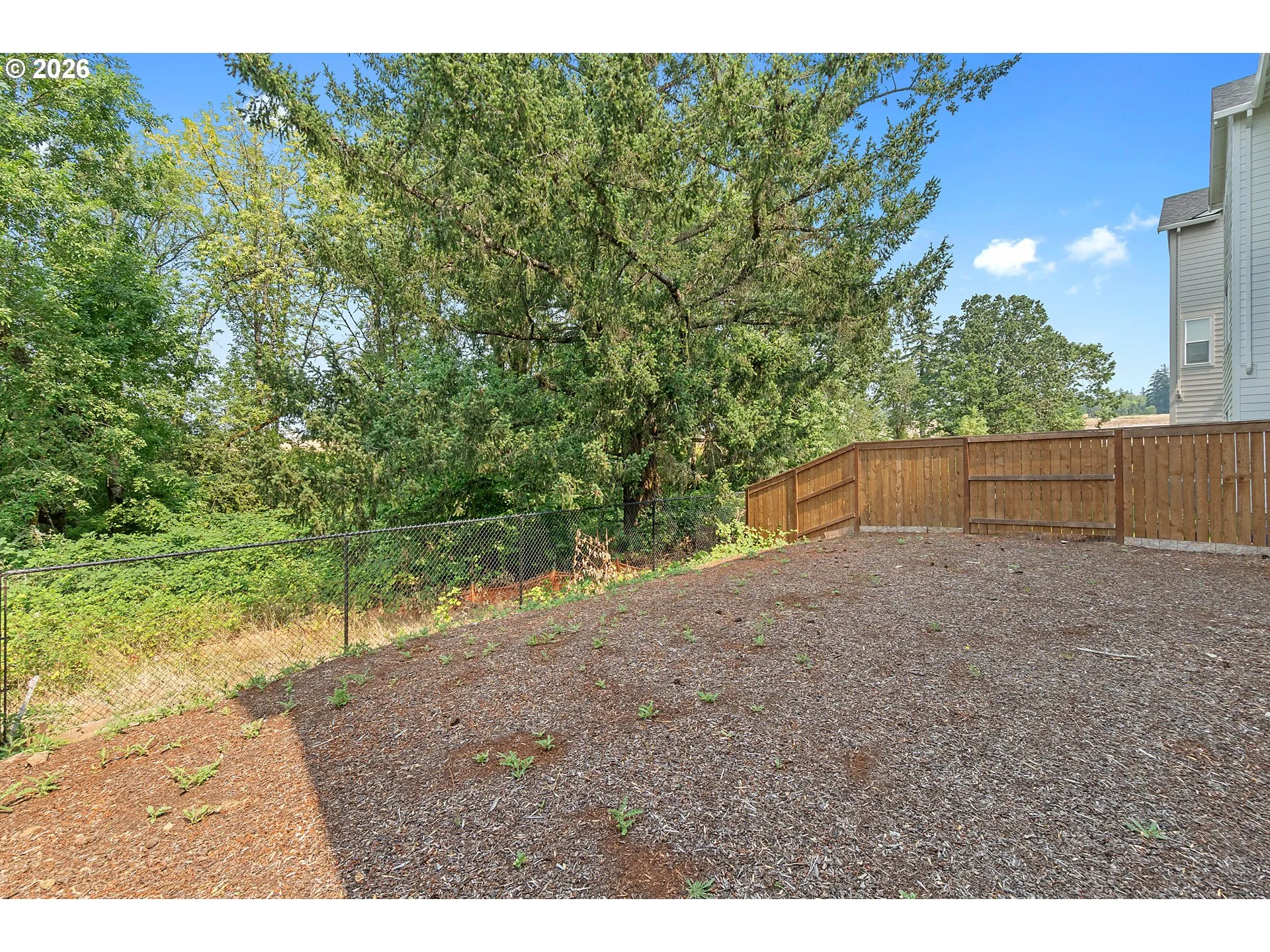 Backyard