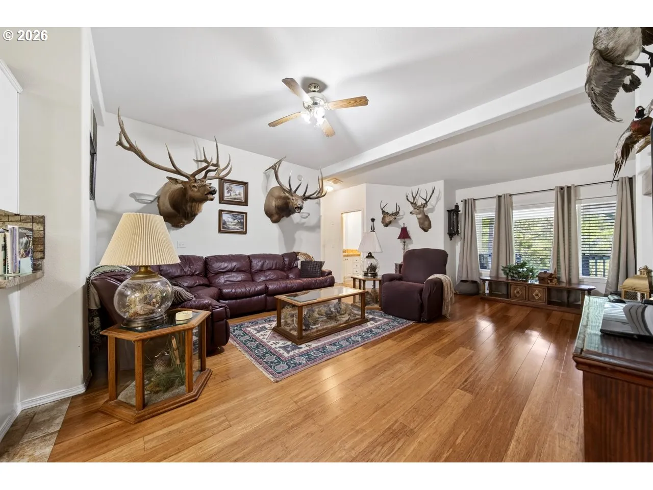 Living Room-Ceiling Fan