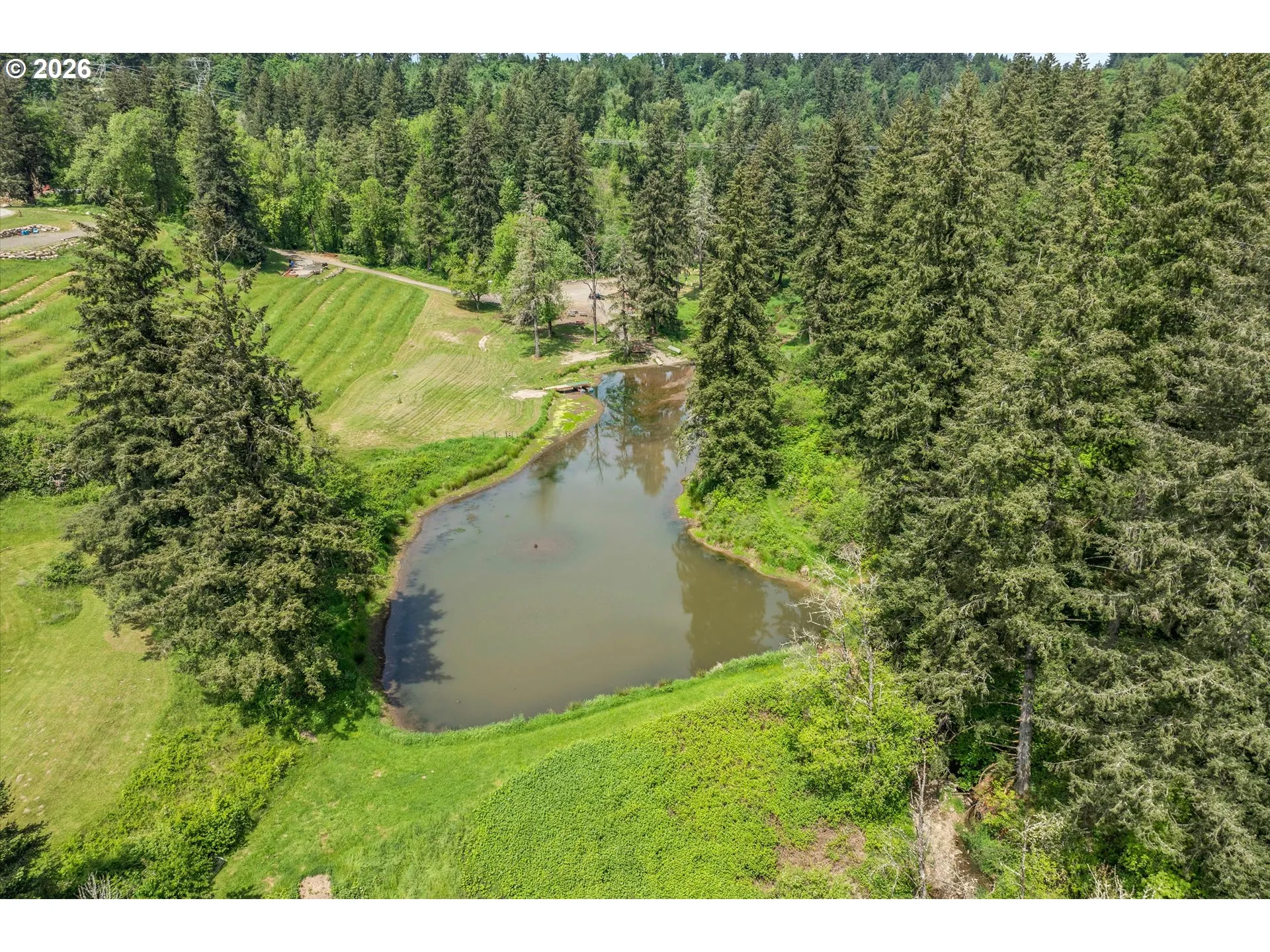 Pond