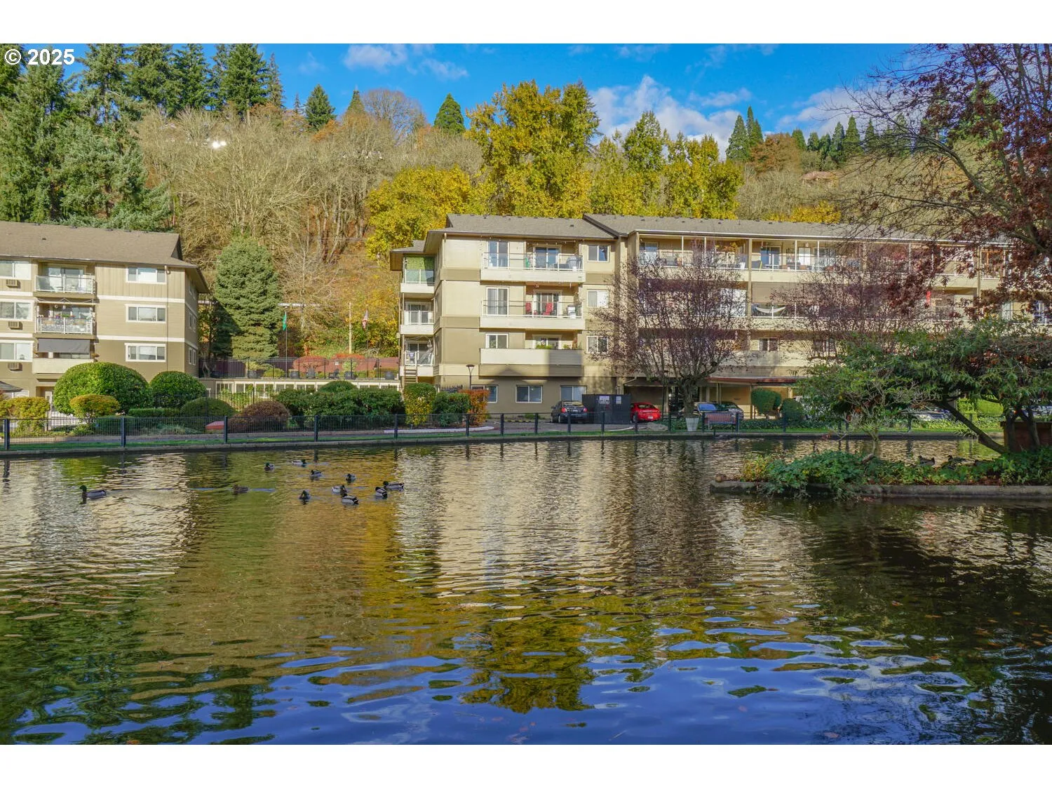 Pond