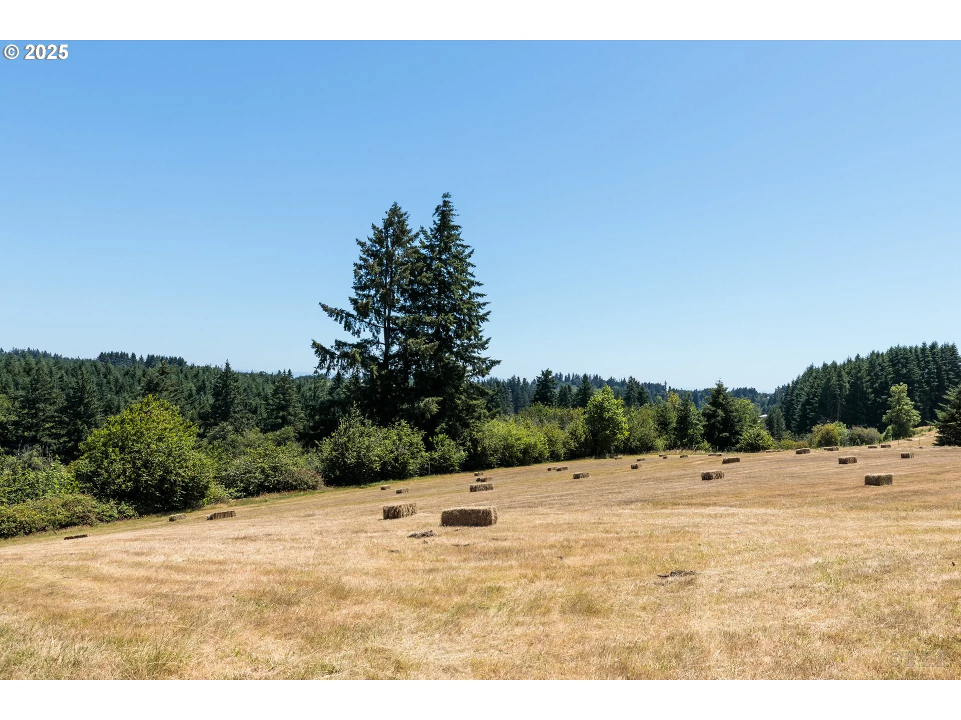 Pasture