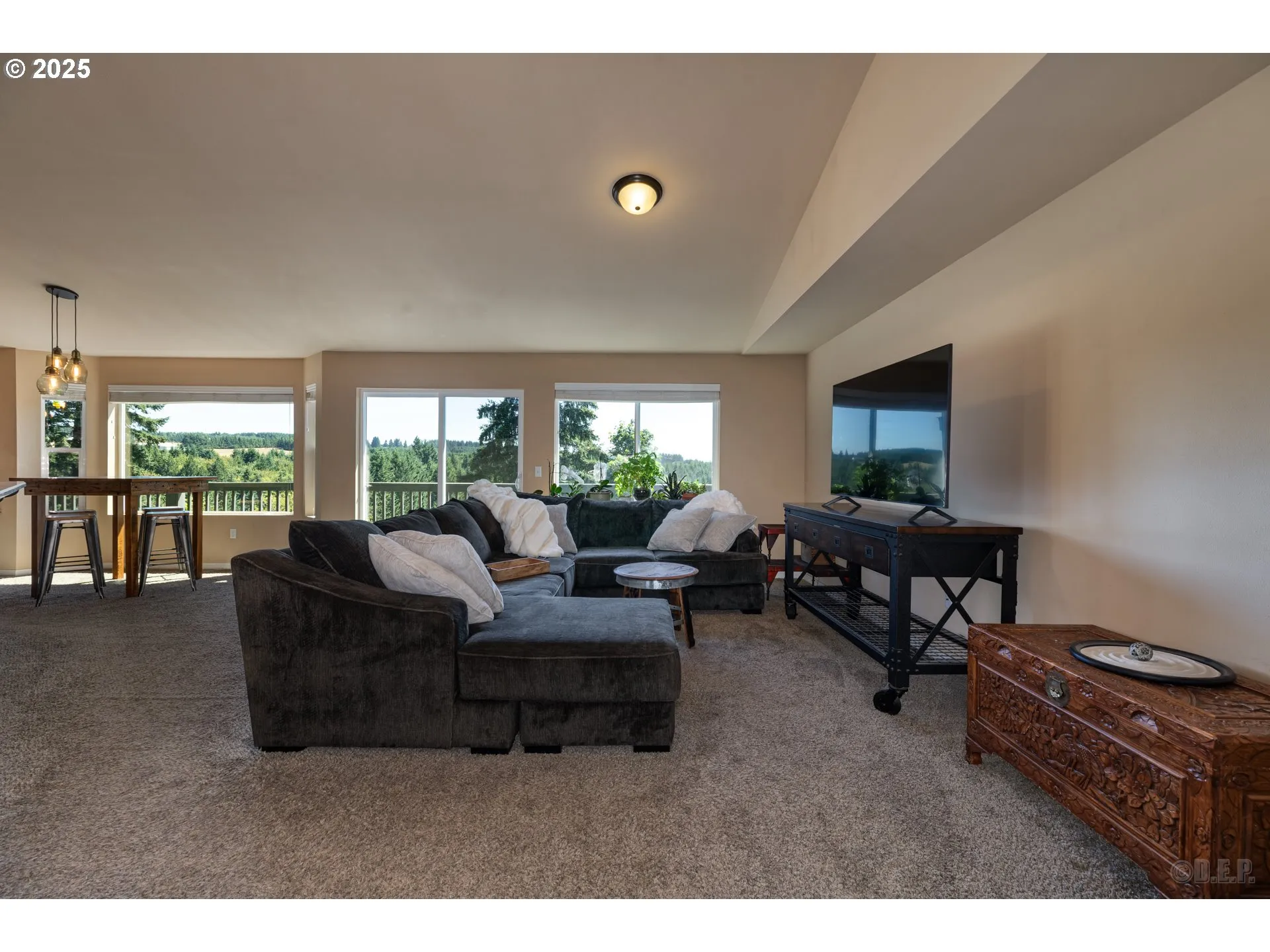 Living Room-Vaulted Ceilings