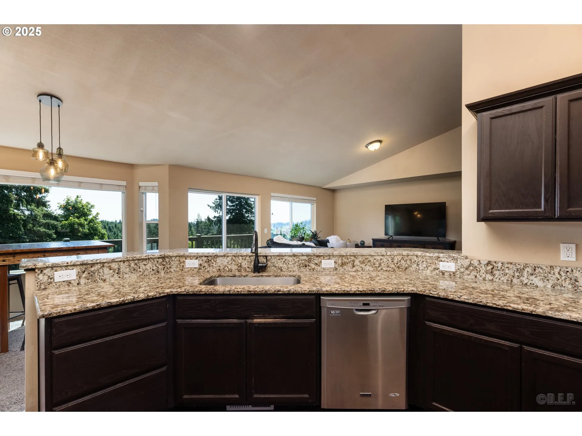 Kitchen-View From