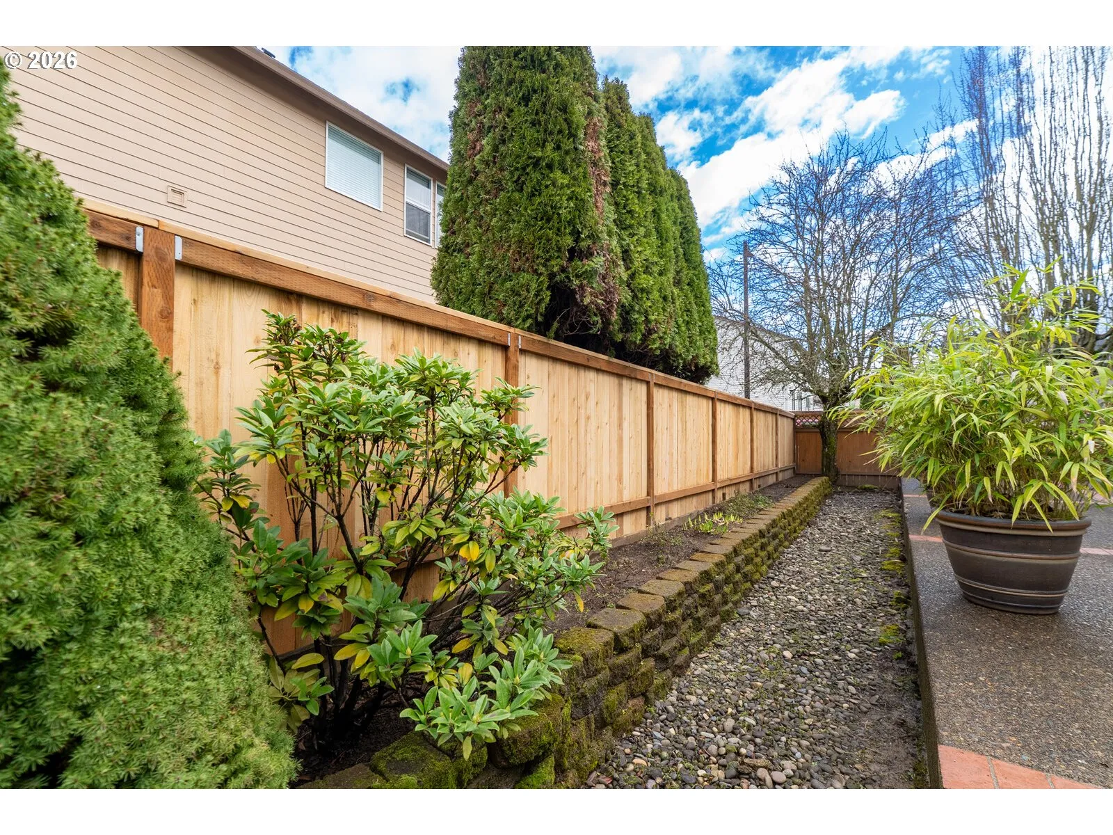 Backyard-Fenced