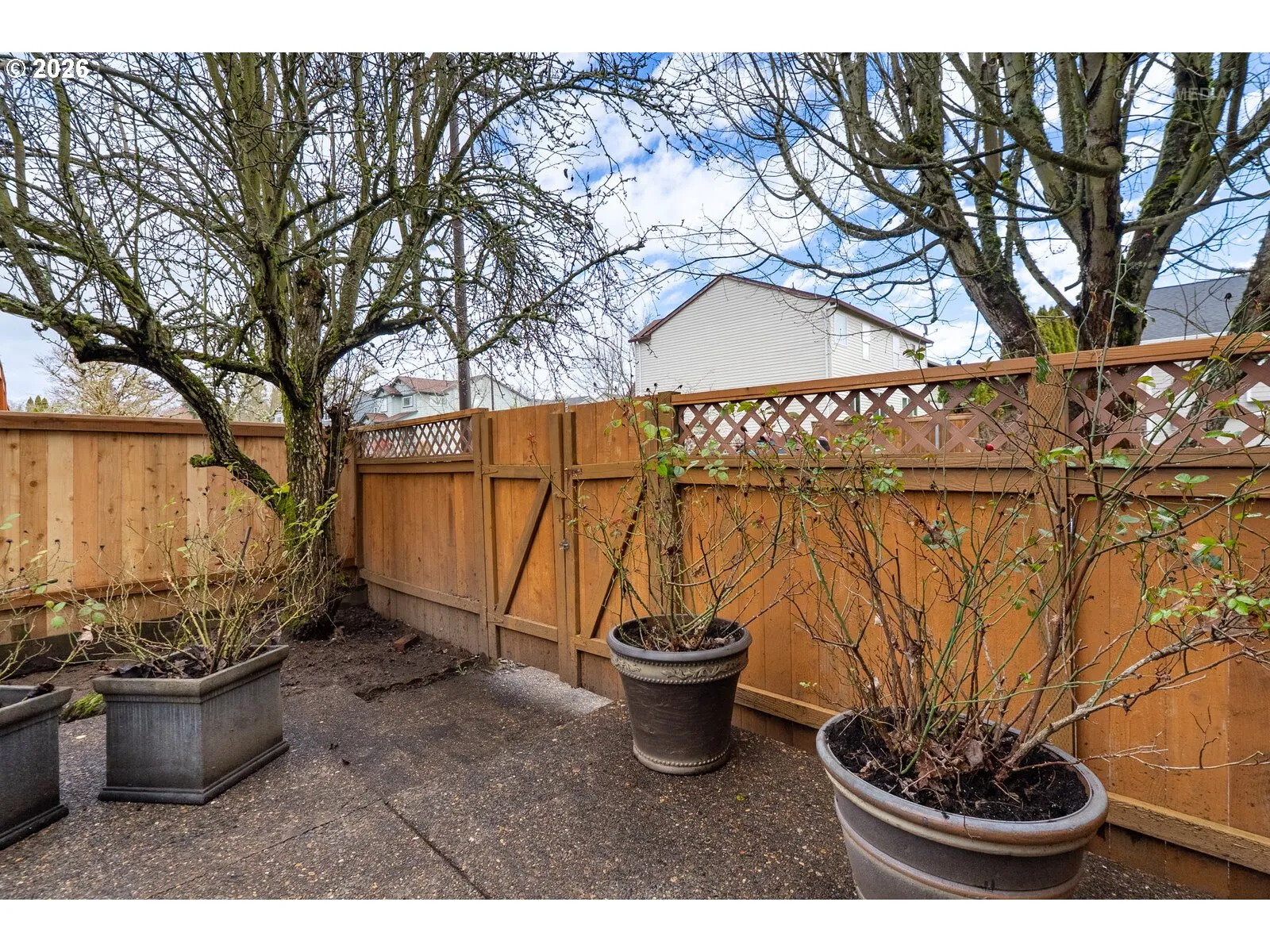 Patio-Backyard
