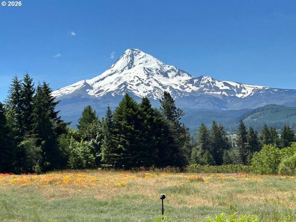 View-Mountain