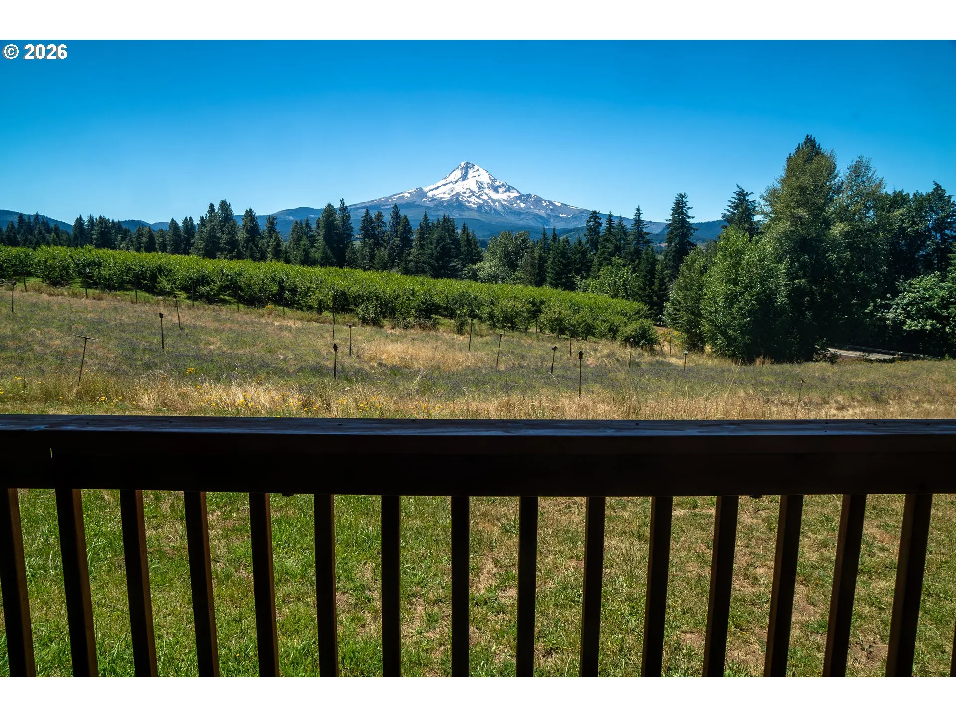 View-Mountain