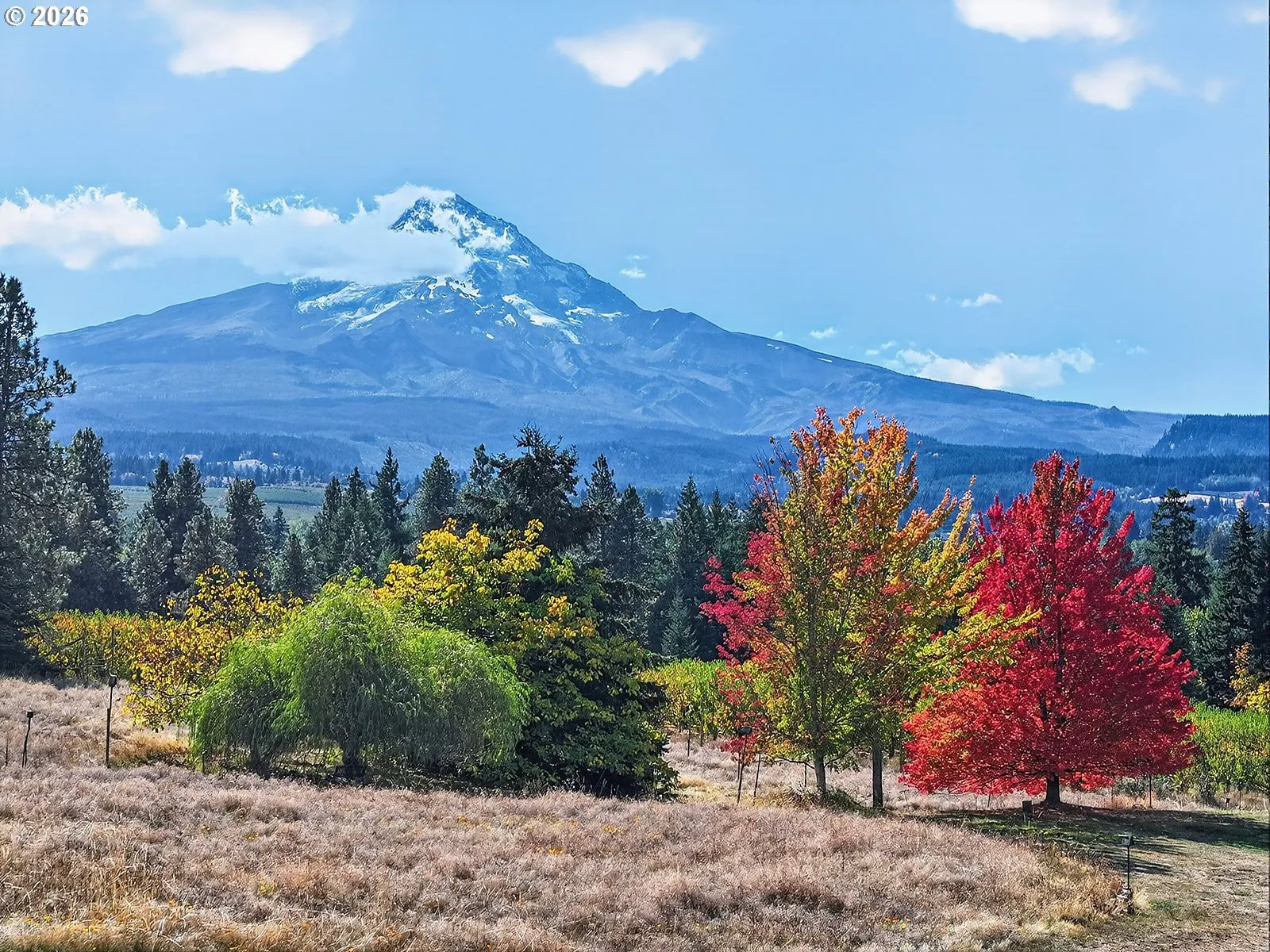 View-Mountain
