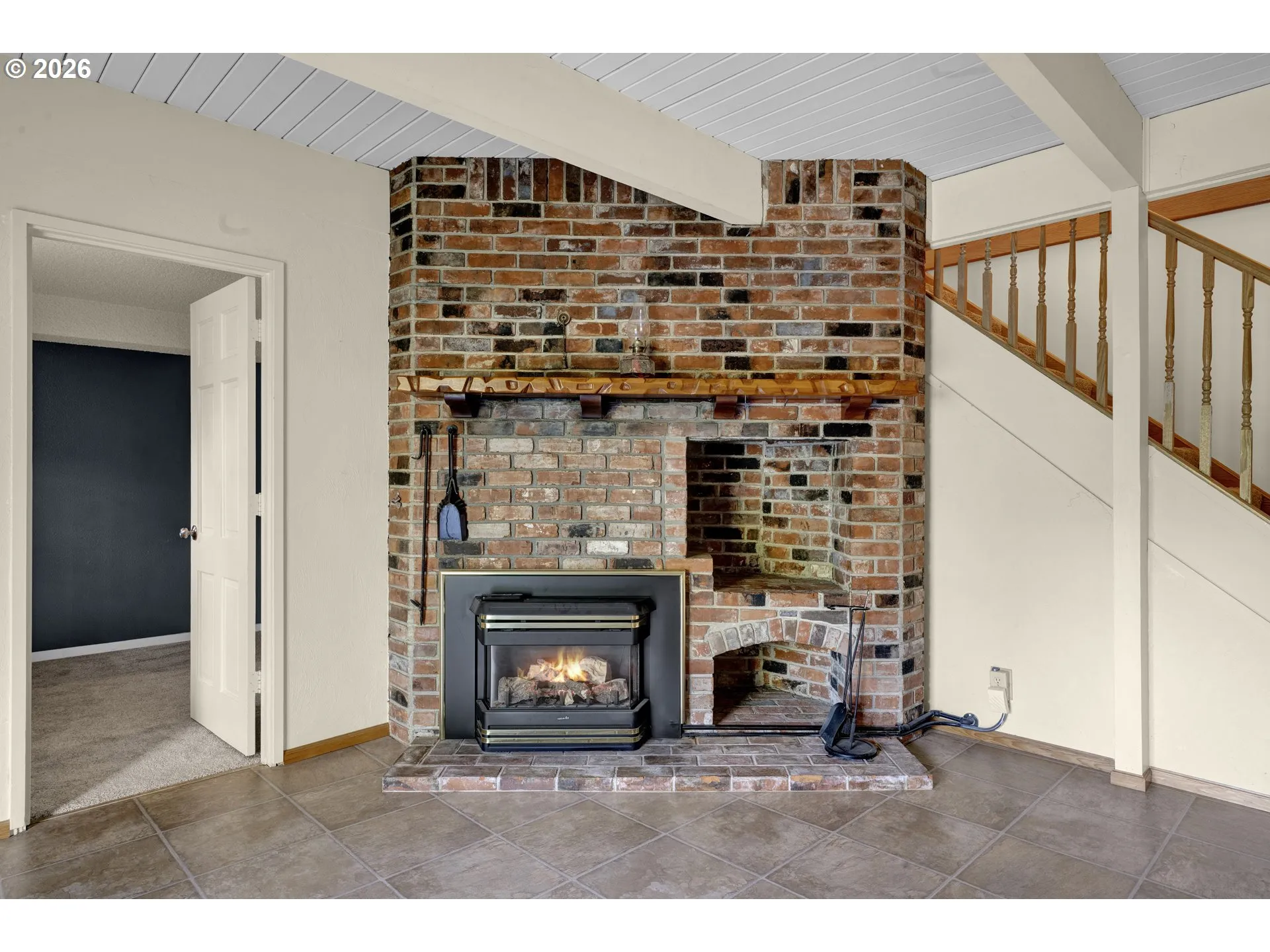 Fireplace Gas Burning Stove/Insert