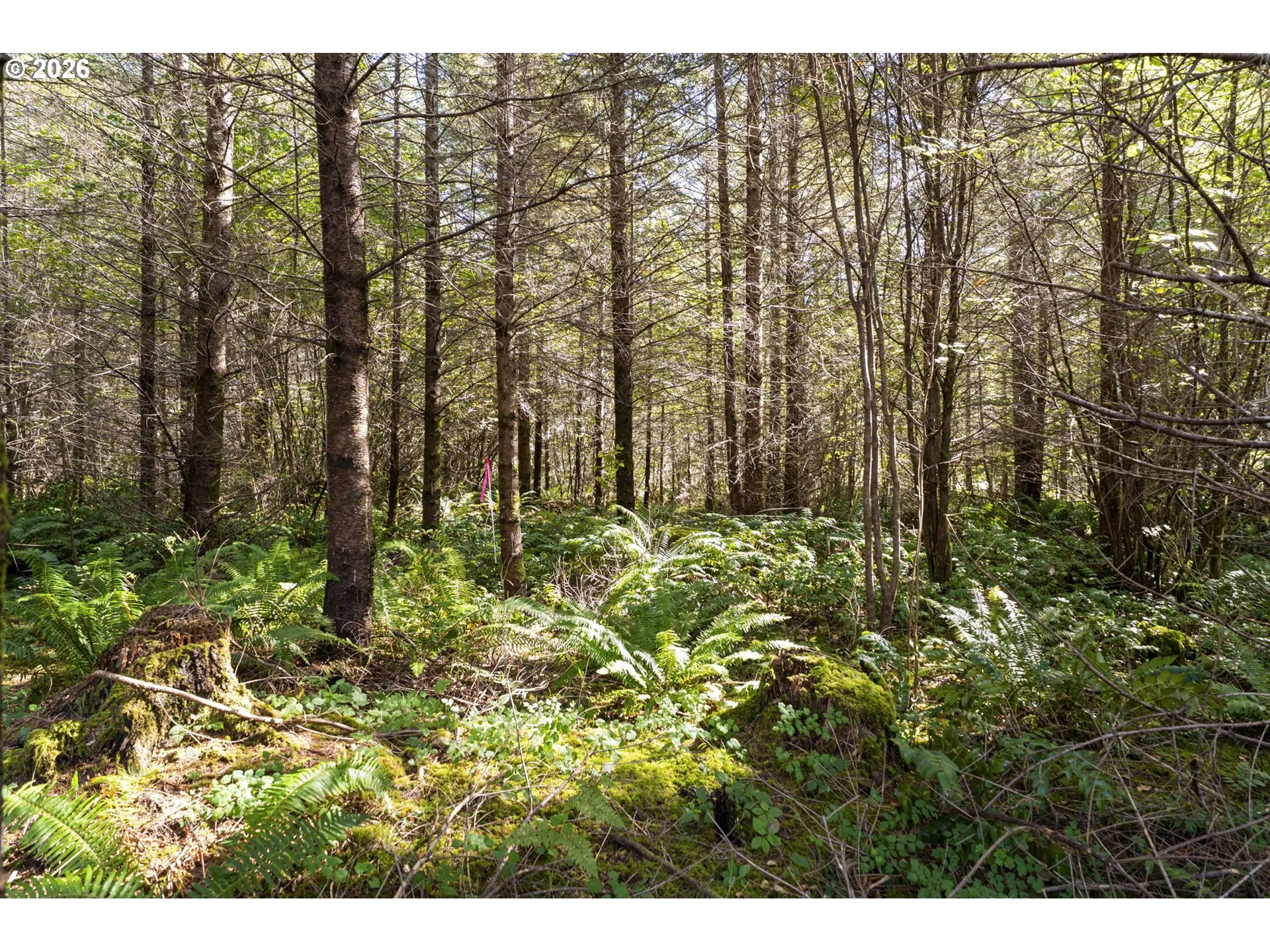 Acreage
