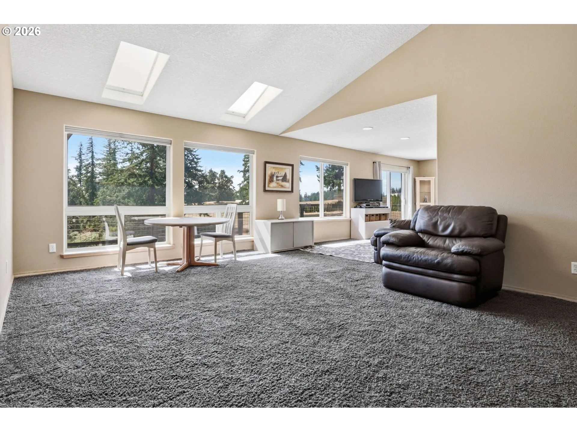 Living Room-Skylight