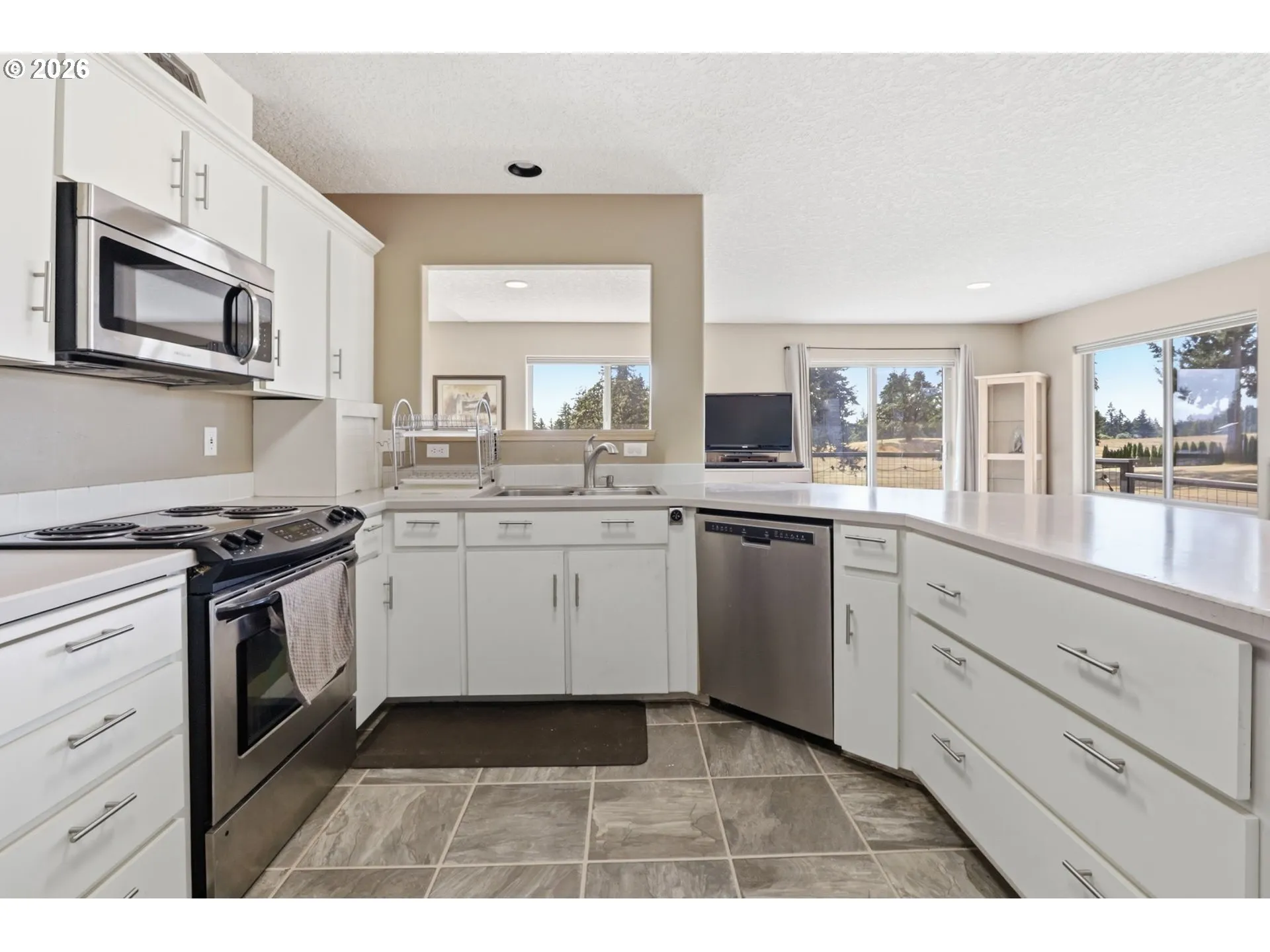 Kitchen-View From