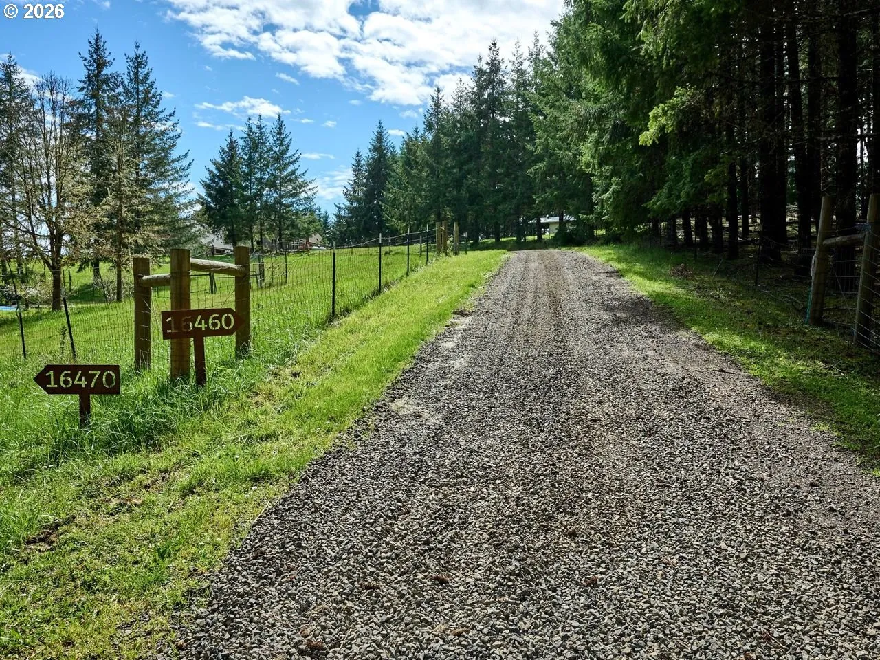 Driveway