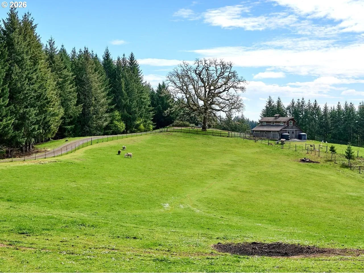 Pasture
