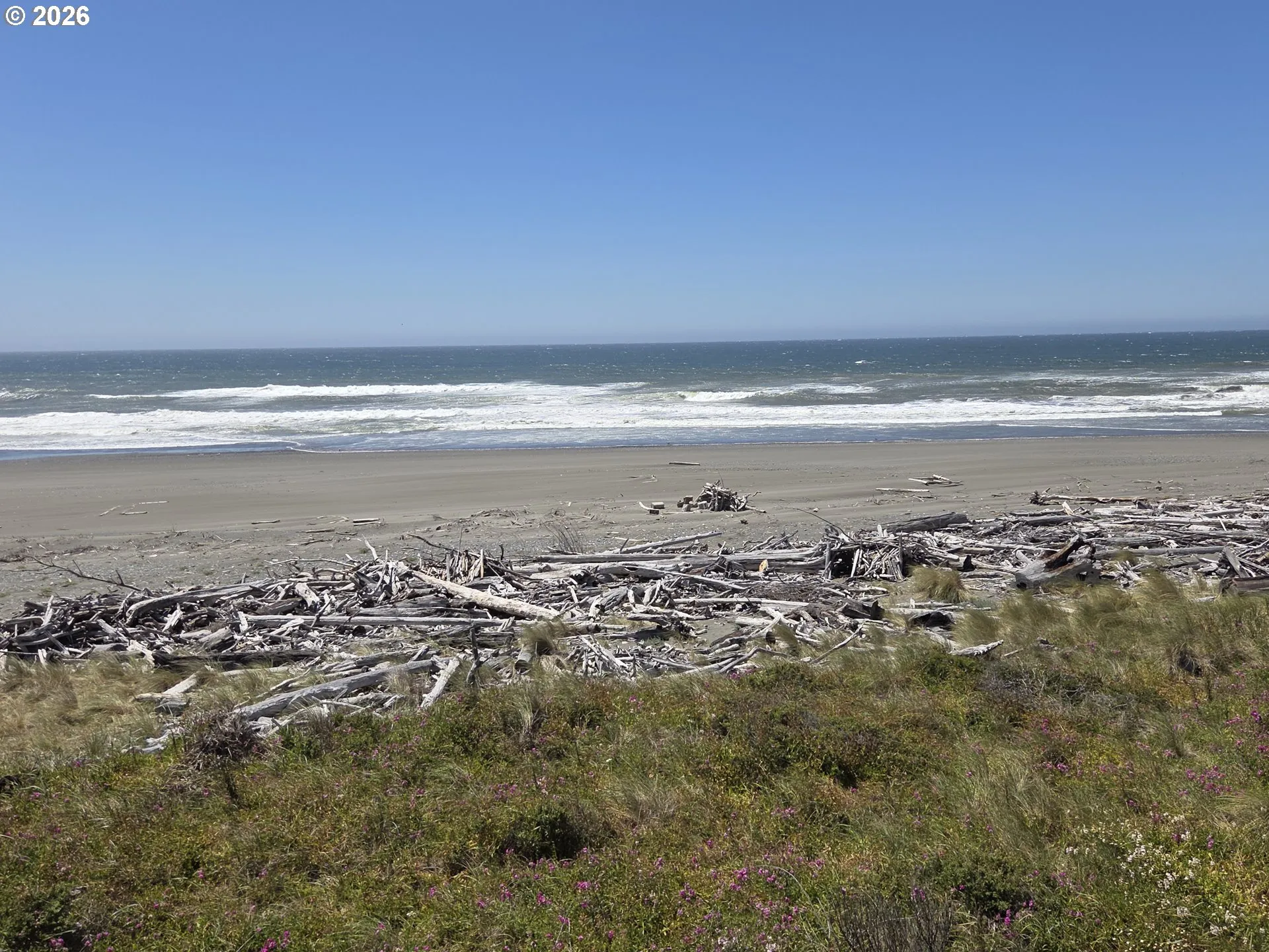 View-Beach/Ocean