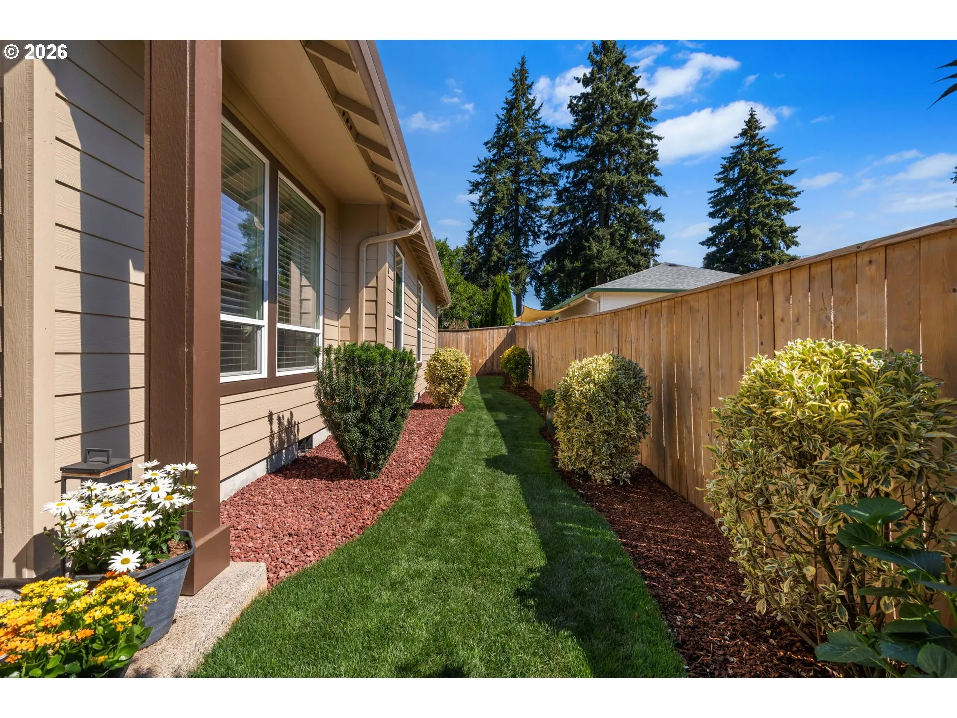 Backyard-Fenced