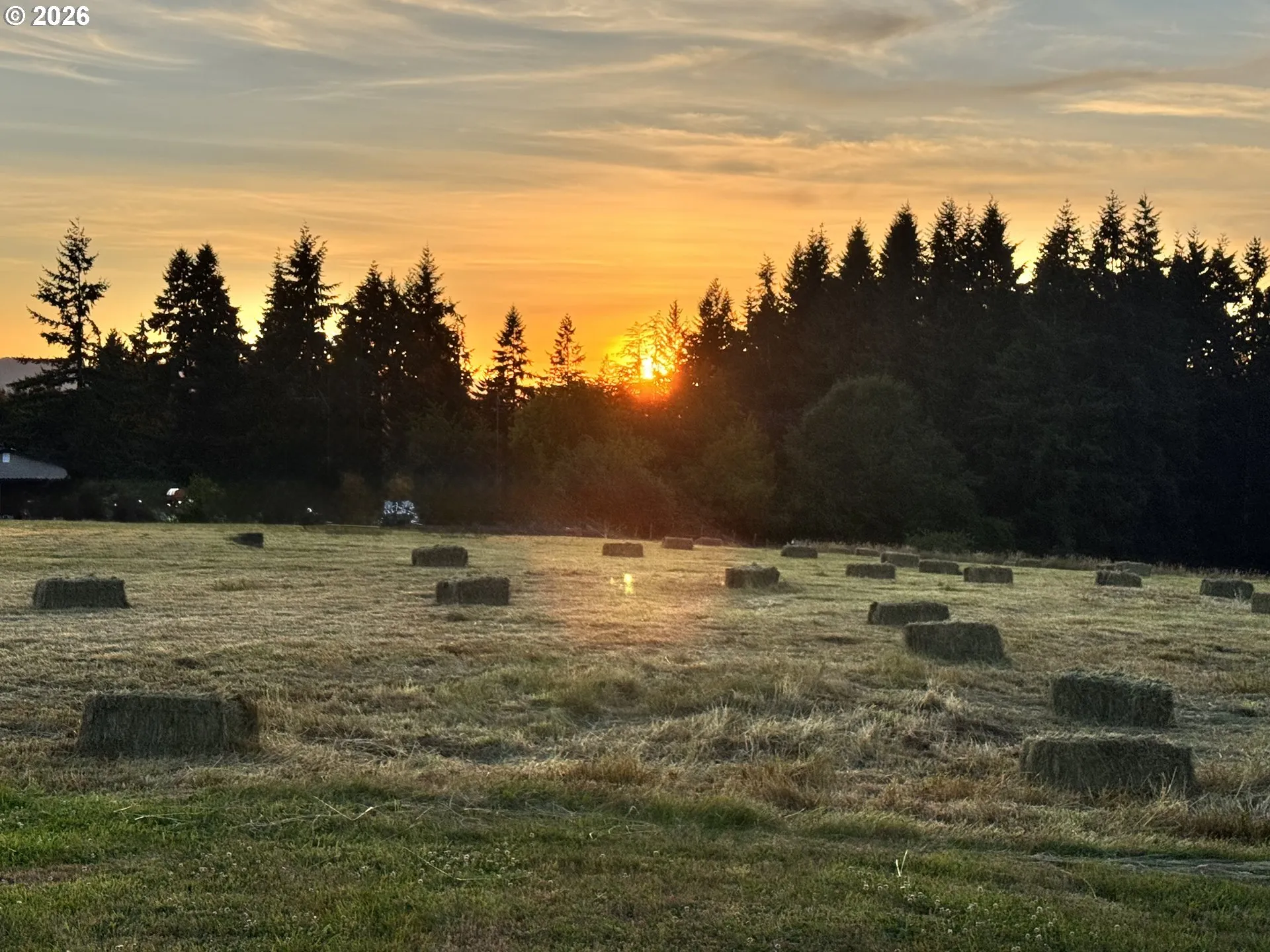 Pasture