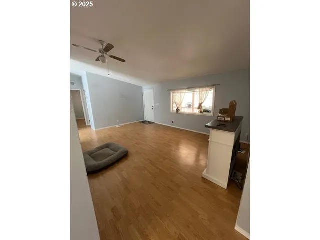 Living Room-Ceiling Fan