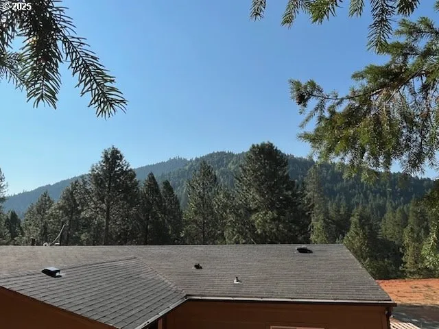 Front Yard-View From