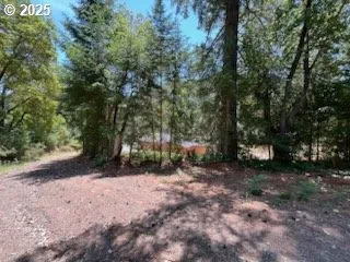 Backyard-View From