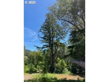 View-Trees