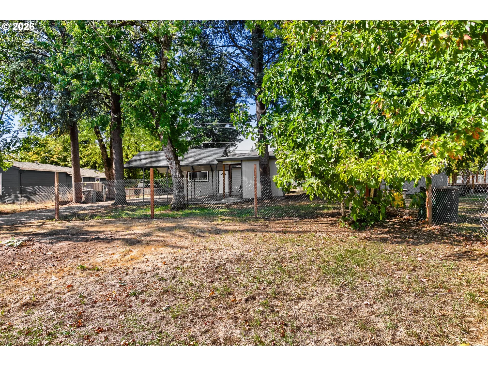 Backyard-View From