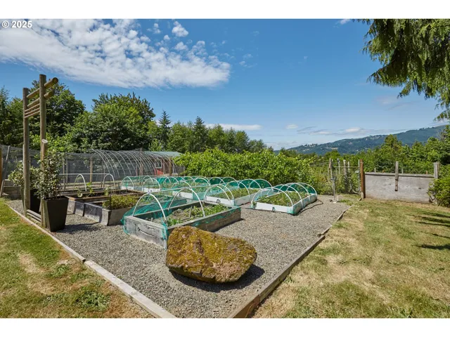 Garden-View From