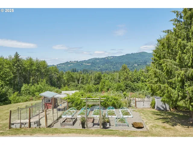 Garden-View From