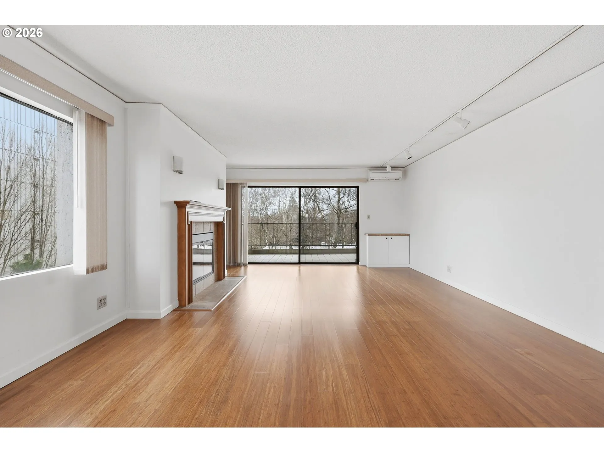 Living Room-Fireplace