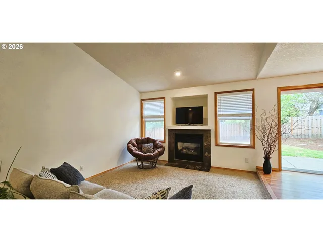 Fireplace Gas