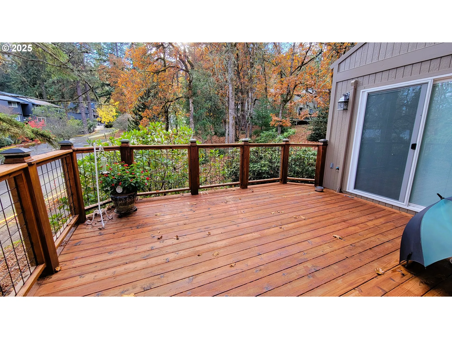 Deck-Main