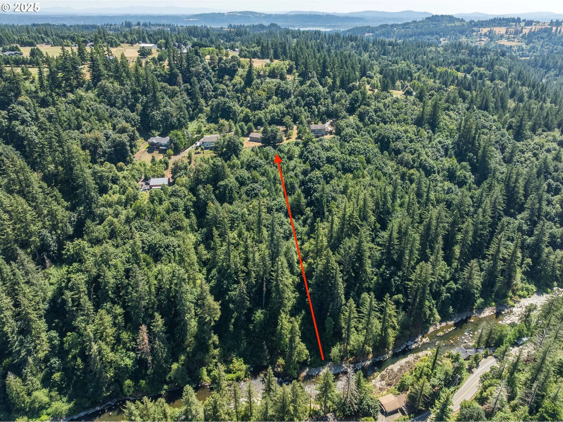 View-Wooded / Acreage