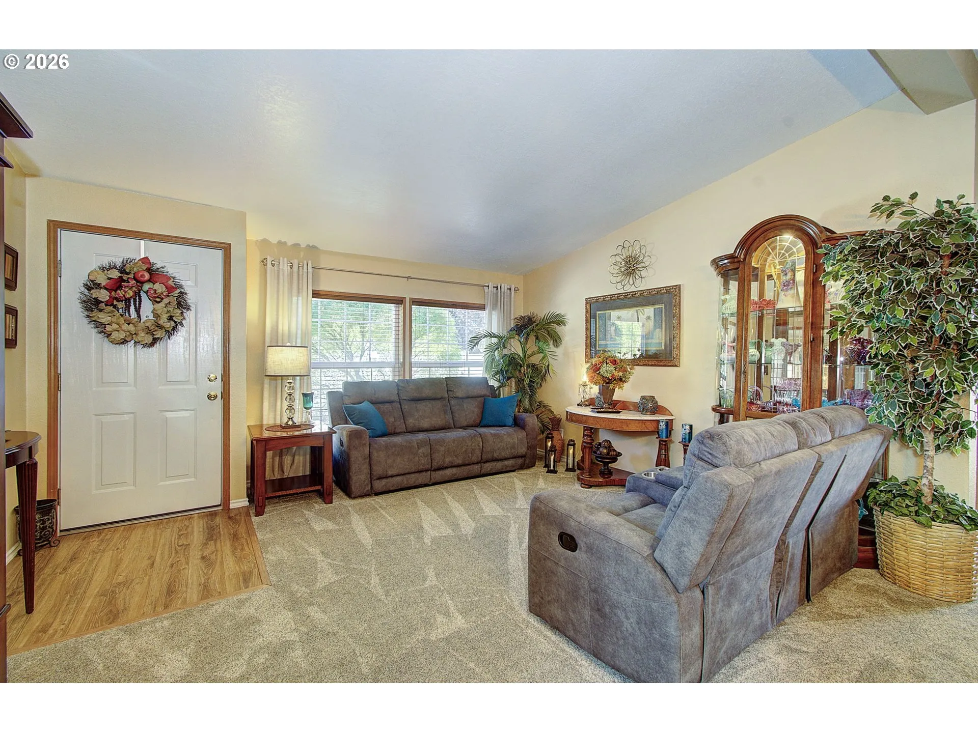 Living Room/Entrance