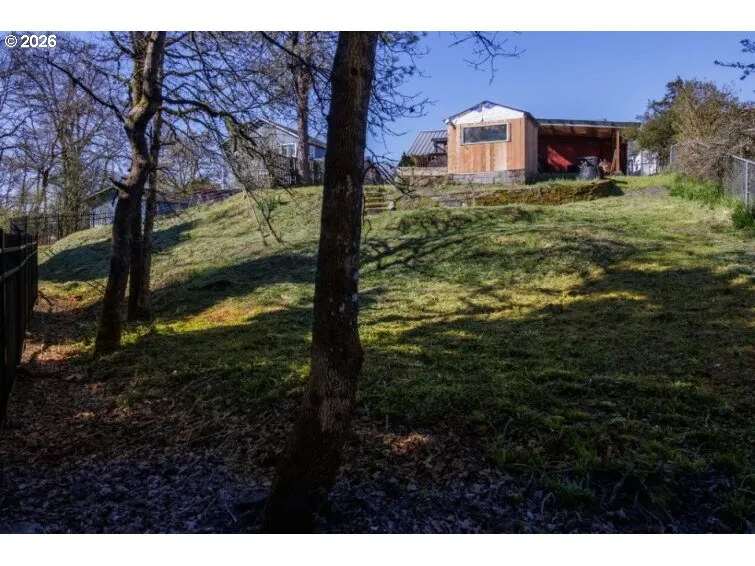 Backyard-View From