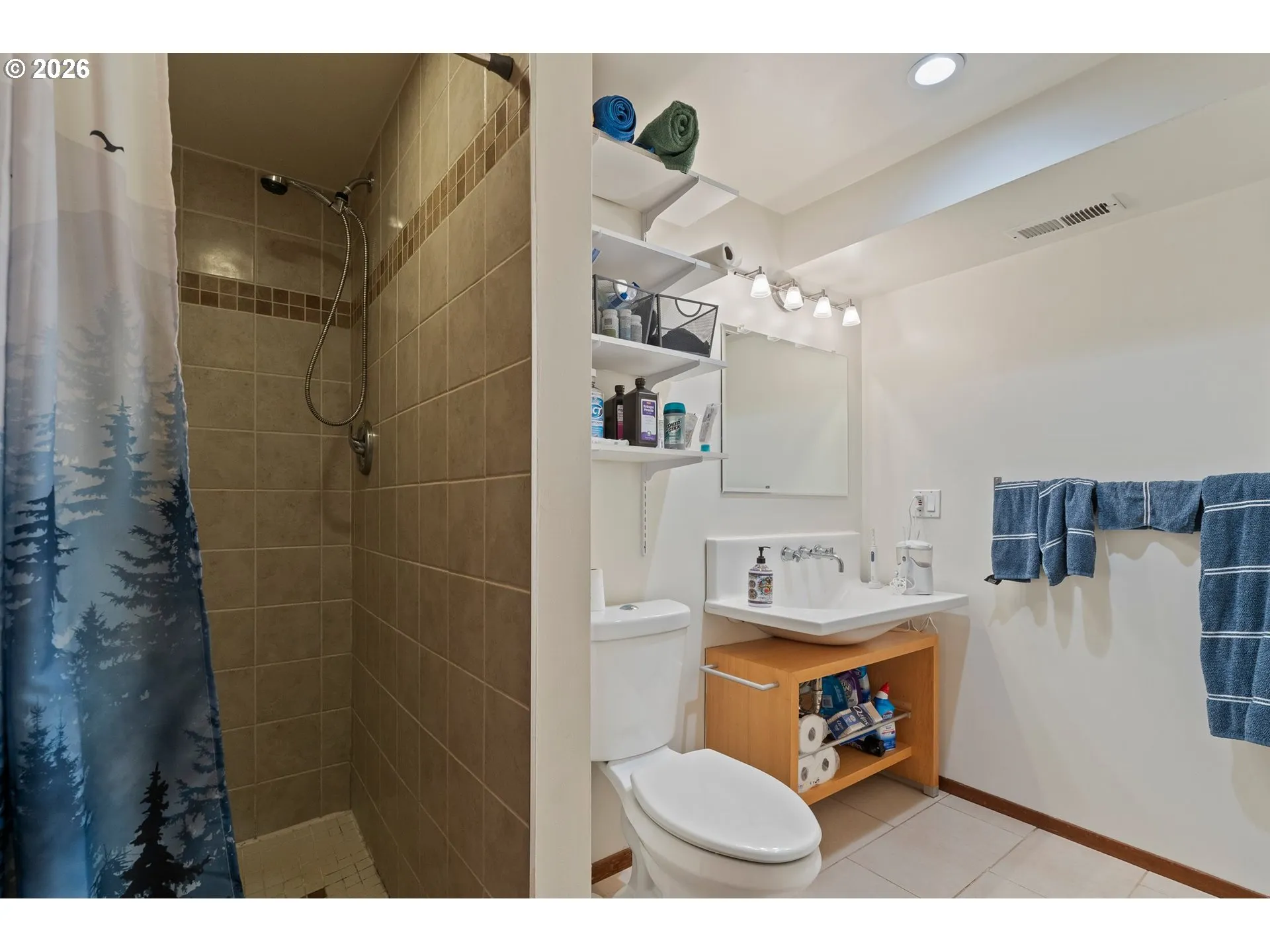 Bathroom-Lower