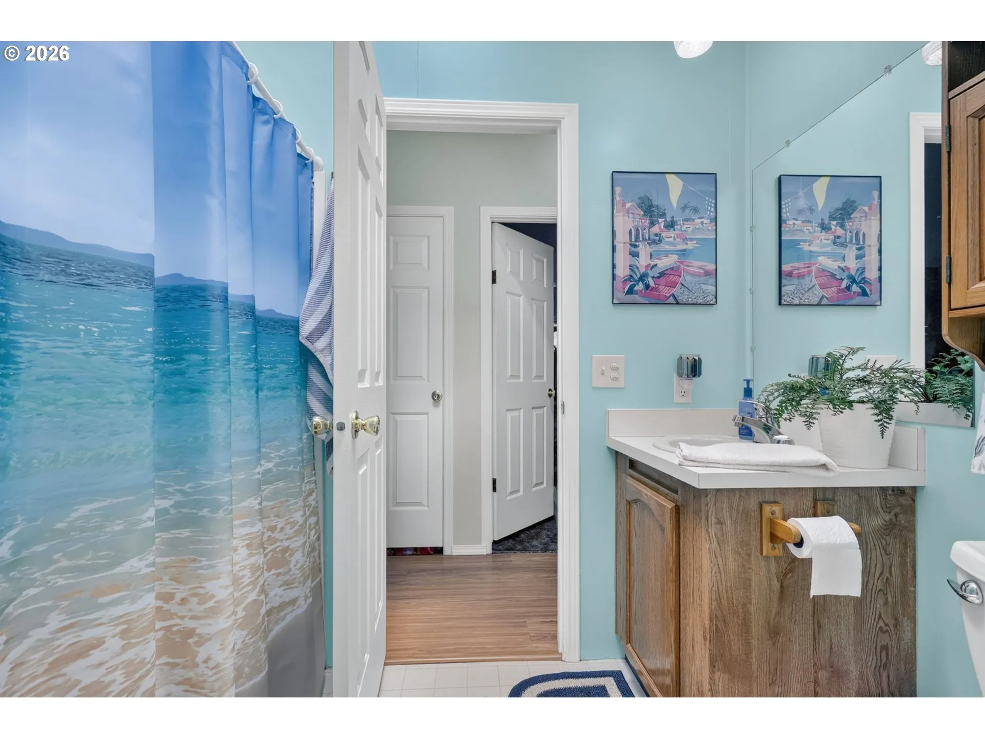 Bathroom-Skylight