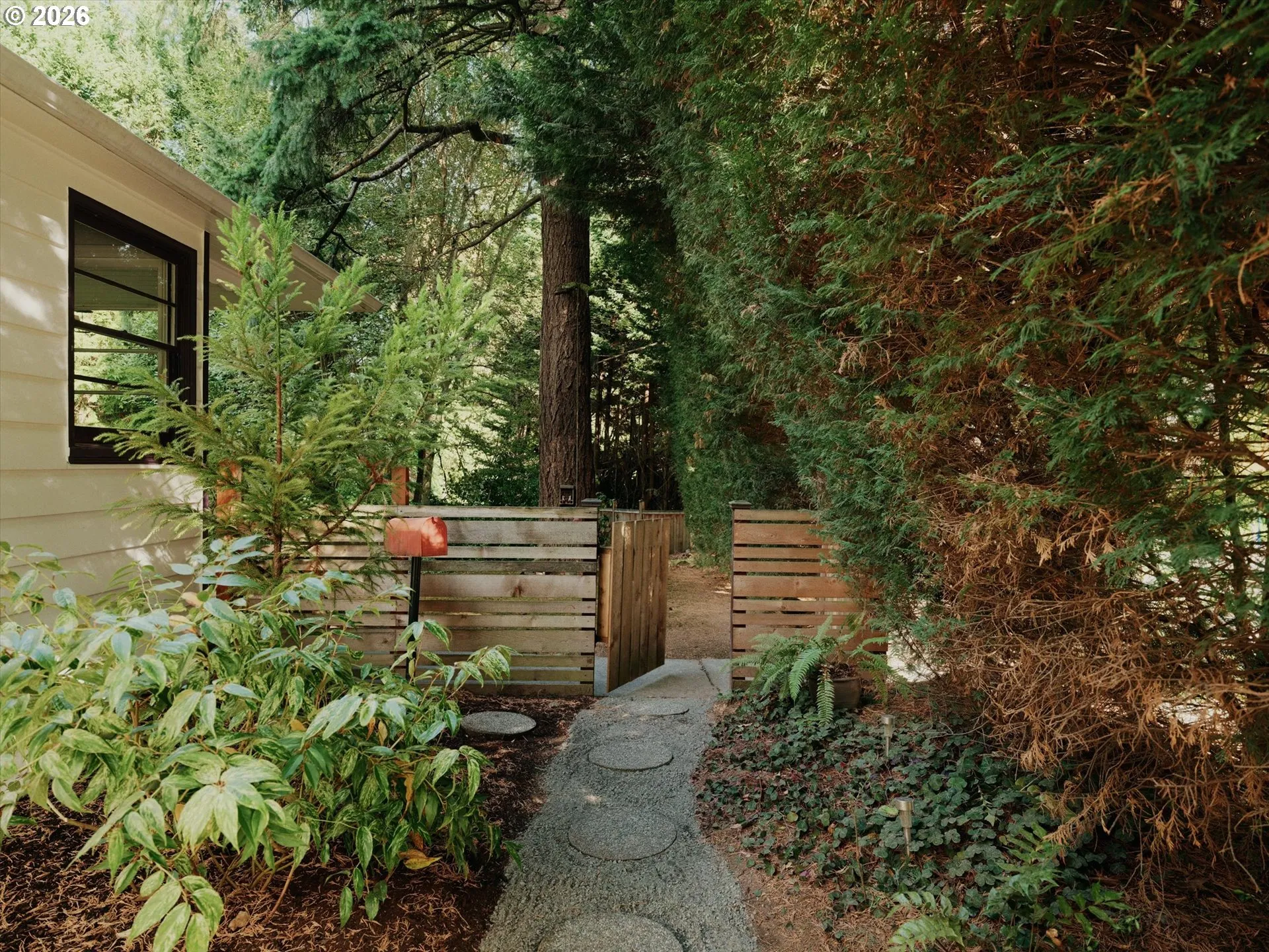 Front Yard-View From