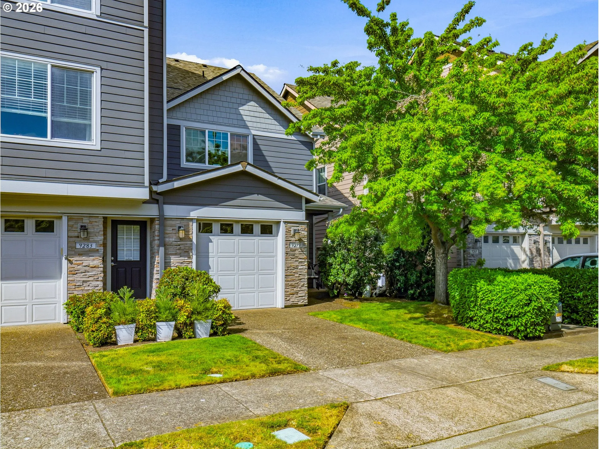 Front Yard