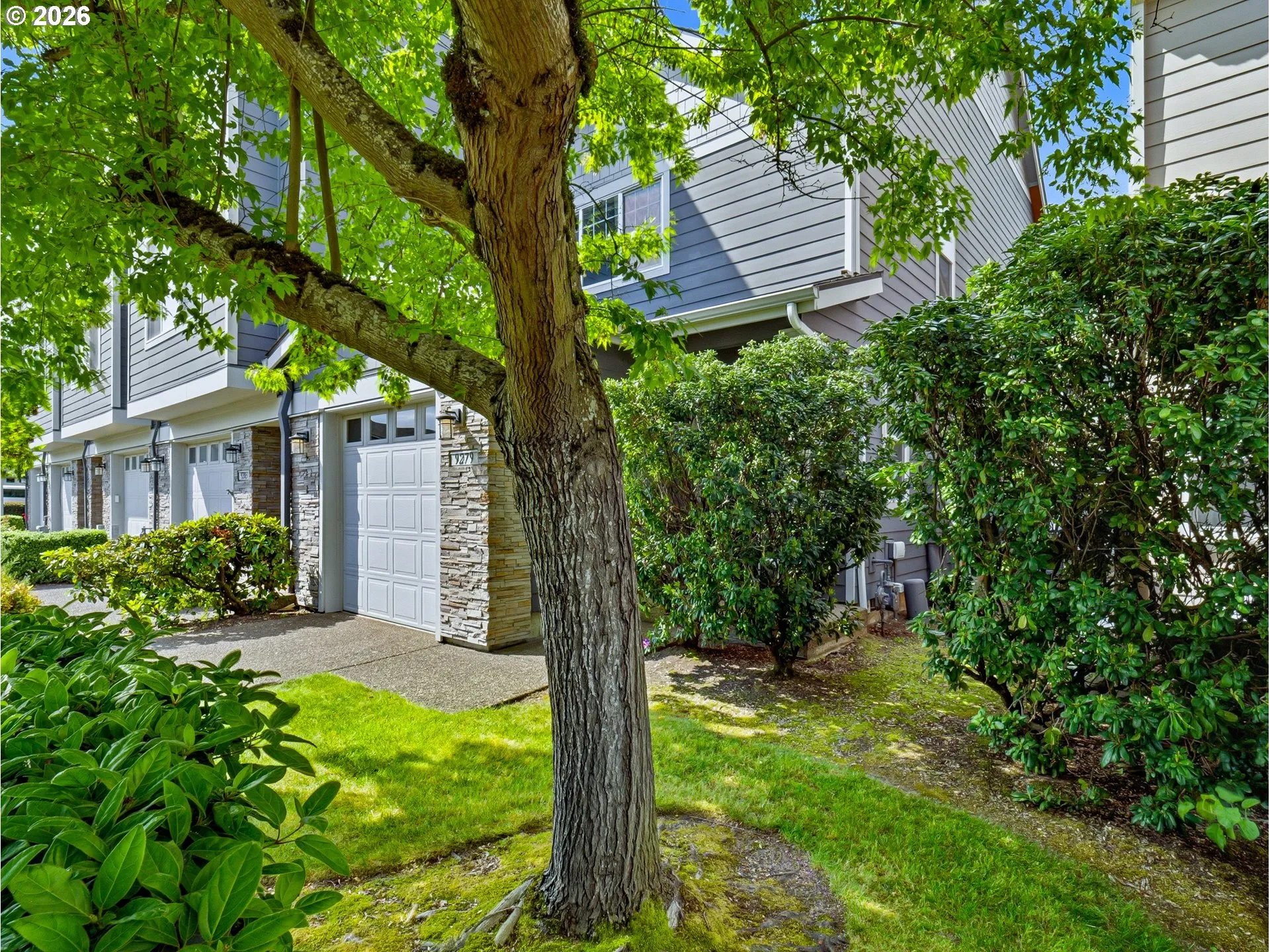 Front Yard