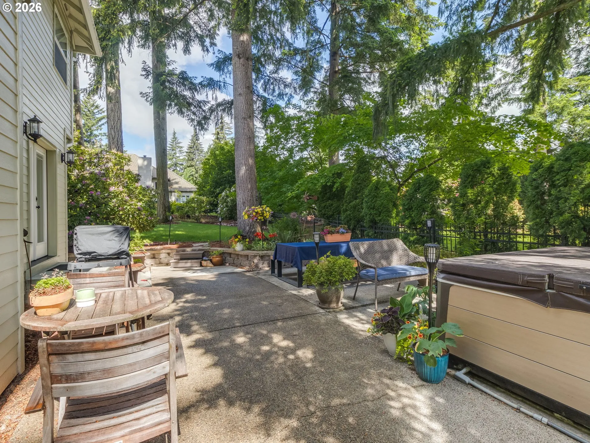 Backyard-View From