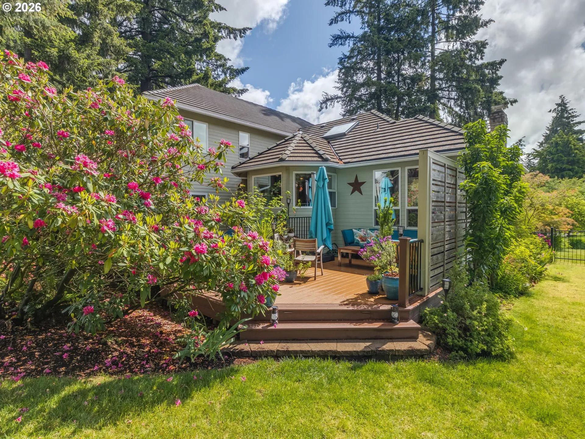 Backyard-View From